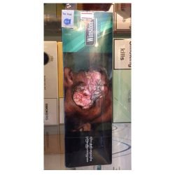 Winston Wild Mint